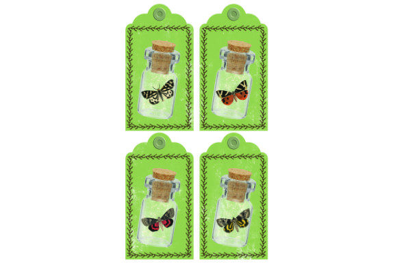Evaluating Butterfly in the Bottle Big Tags .3D for Creative Projects